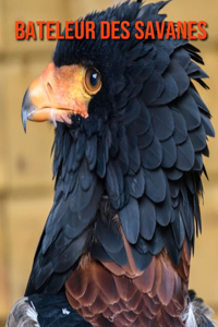 Bateleur des Savanes