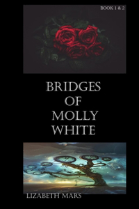 Bridges of Molly White