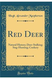 Red Deer