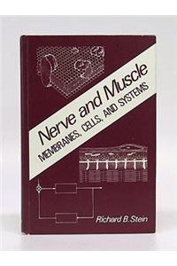 Nerve and Muscle