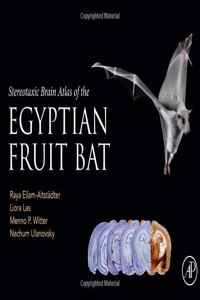 Stereotaxic Brain Atlas of the Egyptian Fruit Bat