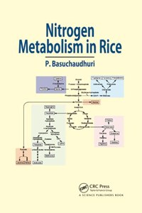 Nitrogen Metabolism in Rice