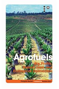 Agrofuels: Big Profits, Ruined Lives and Ecological Destruction