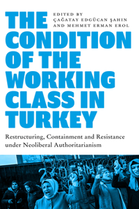 The Condition of the Working Class in Turkey