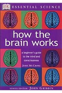 Essential Science:  How the Brain Works