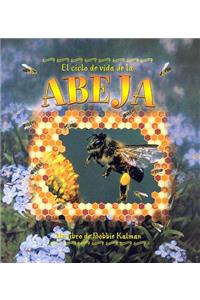 El Ciclo de Vida de Abeja