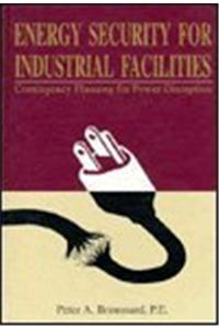 Energy Security for Industrial Facilities