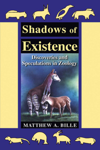 Shadows of Existence