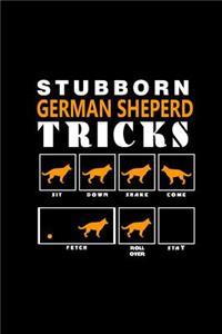 Stubborn German shepherd Tricks