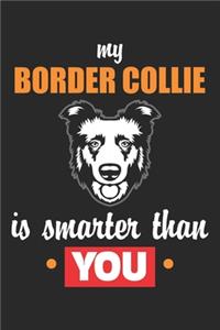 My Border Collie is smarter than you