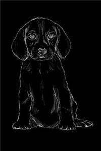 Hundetagebuch
