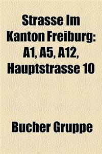 Strasse Im Kanton Freiburg