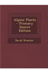 Alpine Plants