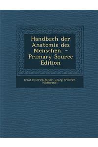 Handbuch Der Anatomie Des Menschen. - Primary Source Edition