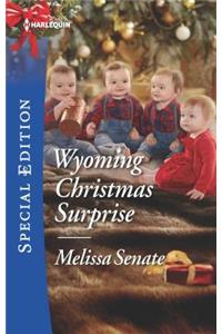 Wyoming Christmas Surprise