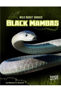 Black Mambas