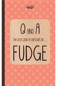 Little Book of Questions on Fudge