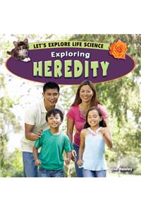 Exploring Heredity