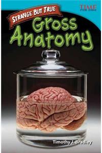 Strange But True: Gross Anatomy (Library Bound)