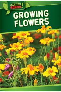 Growing Flowers
