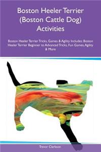 Boston Heeler Terrier (Boston Cattle Dog) Activities Boston Heeler Terrier Tricks, Games & Agility Includes