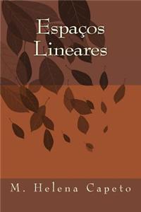 Espacos Lineares: Algebra Linear