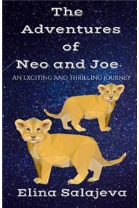Adventures of Neo and Joe.