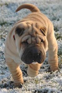 Super Cute Sharpei Puppy Dog Pet Journal