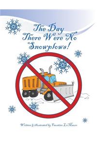 The Day There Were No Snowplows