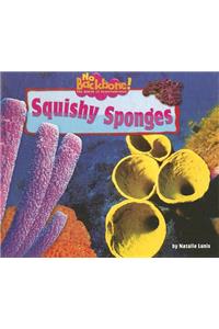 Squishy Sponges