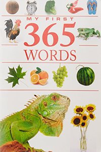 My First 365 Words
