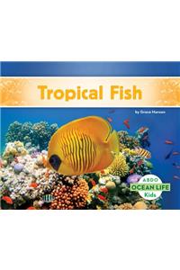 Tropical Fish