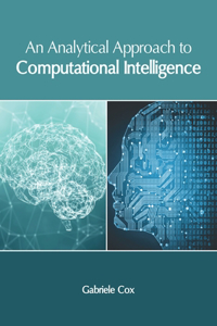 Analytical Approach to Computational Intelligence