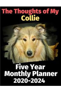 The Thoughts of My Collie