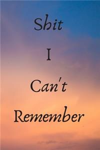 Shit I Can't Remember