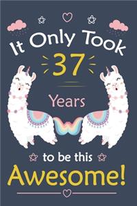 It only Took 37 Years To Be This Awesome!