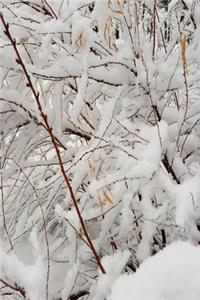 2020 Daily Planner Winter Forest Snowstorm 388 Pages
