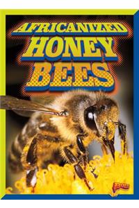 Africanized Honeybees