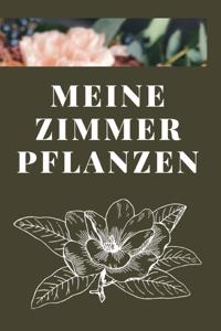Meine Zimmer Pflanzen