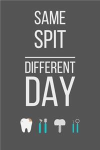 Same Spit Different Day