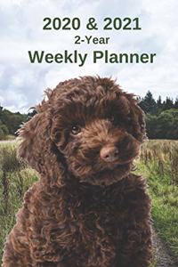 2020 & 2021 Weekly Planner - Two Year Appointment Book Gift - Two-Year Agenda Notebook for Labradoodle Dog Owners