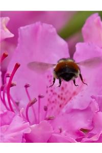 Bumblebee Journal