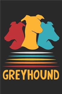 Greyhound