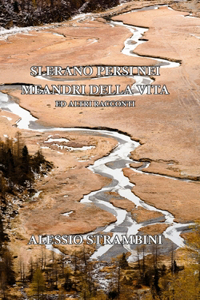 Si erano persi nei meandri della vita ed altri racconti (2^ EDIZIONE)