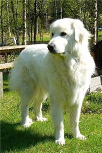 Pyrenean Mountain Dog Lined Journal