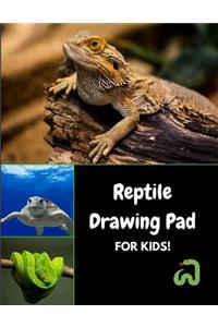 Reptile Drawing Pad for Kids!