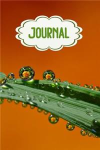 Journal