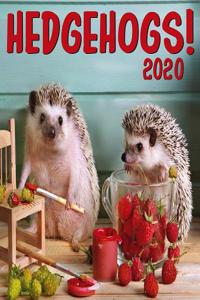 Cal 2020-Hedgehogs Wall
