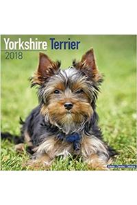 Yorkshire Terrier Calendar 2018