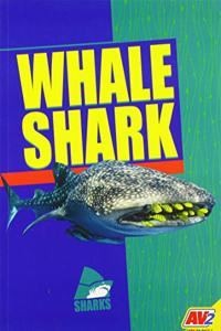 Whale Shark